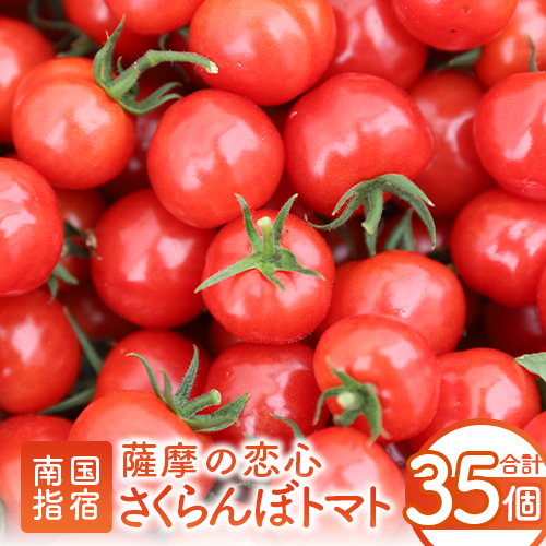 【2025年12月上旬〜発送】【鹿児島県指宿市産】さくらんぼトマト 薩摩の恋心 35個入(シナジーブリーディング/010-373)トマト 美味しいトマト フルーツトマト サクランボ トマト ミニトマト ぷ