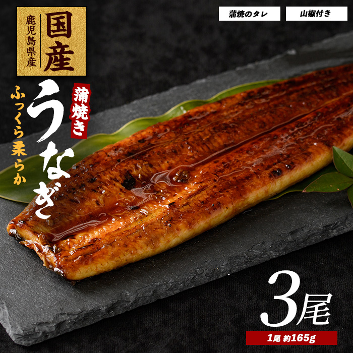 【鹿児島県産】うなぎ蒲焼じっくり焼き約165g×3尾 化粧箱入り(大新/023-1105)  うなぎ 国産 鹿児島 蒲焼 丑の日 丑 土用丑の日鹿児島県指宿市23000魚介・海産物うなぎ