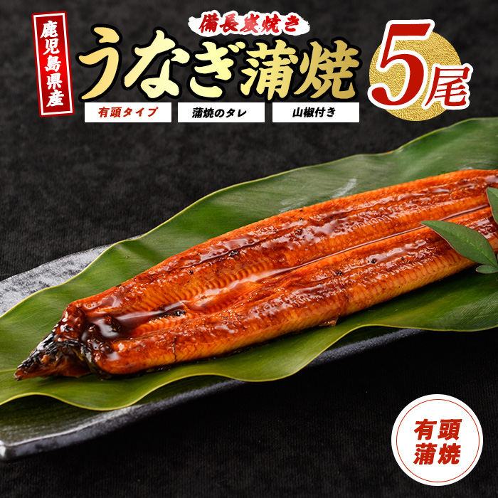 鹿児島産鰻蒲焼5尾(奈良/036-1312) うなぎ 国産 鹿児島 蒲焼 丑の日 丑 土用丑の日鹿児島県指宿市36000魚介・海産物うなぎ