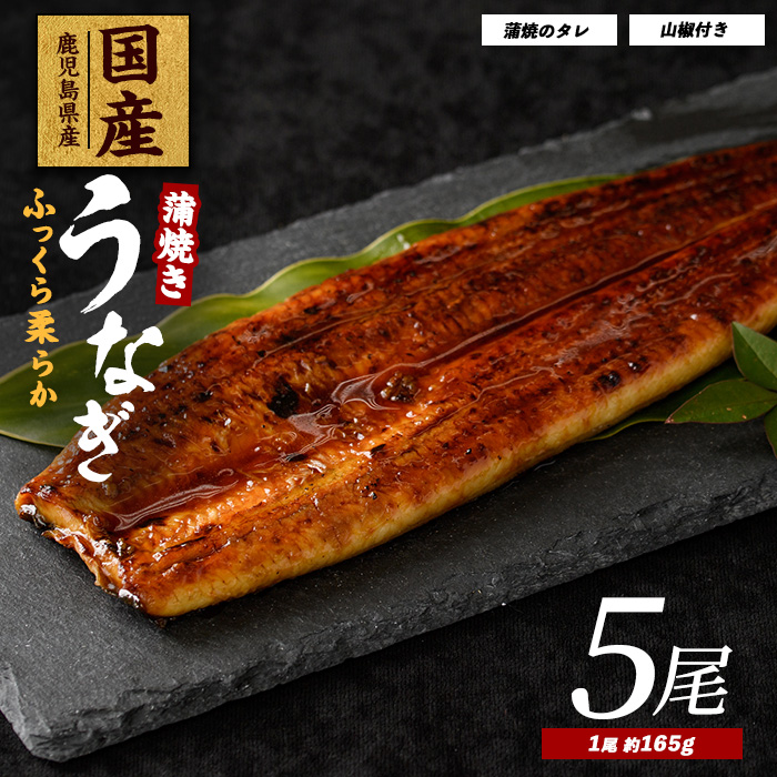 【鹿児島県産】うなぎ蒲焼じっくり焼き約165g×5尾 化粧箱入り(大新/037-1106)  うなぎ 国産 鹿児島 蒲焼 丑の日 丑 土用丑の日鹿児島県指宿市37000魚介・海産物うなぎ