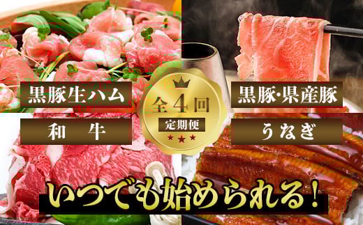 【全4回定期便】豚・牛・うなぎ 鹿児島よくばり定期便2(水迫畜産/Z050-534)国産 鰻 指宿市 蒲焼 牛肉 豚肉 生ハム鹿児島県指宿市50000肉牛肉