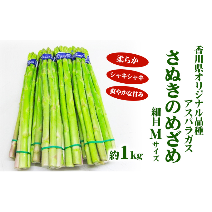 アスパラガス【さぬきのめざめ】Mサイズ1kg 野菜 香川県東かがわ市9000野菜・きのこその他 野菜