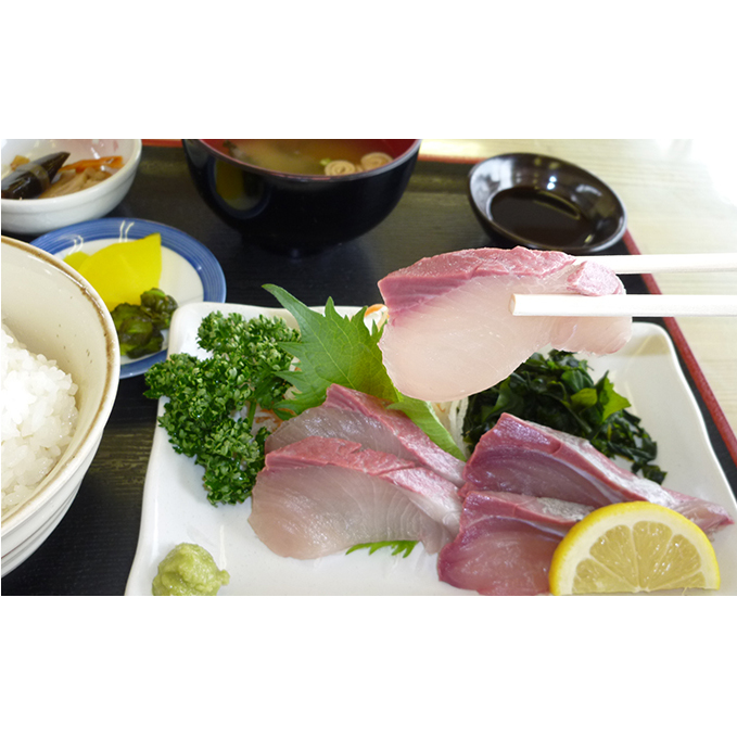 ひけた鰤(ブリ)一尾(納期指定賜ります) 魚介類 刺身 香川県東かがわ市44000魚介・海産物鮮魚