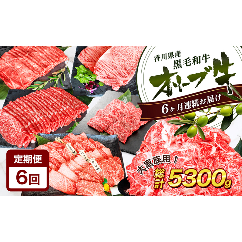 香川県産黒毛和牛オリーブ牛【6ヶ月お届け】大家族用 お肉 牛肉 焼肉 バーベキュー 香川県東かがわ市200000肉牛肉