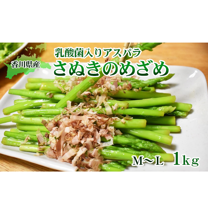 令和8年産 はなまる農園の乳酸菌入りアスパラ【さぬきのめざめ1kg】М〜L アスパラガス 野菜 野菜セット 香川県東かがわ市11000野菜・きのこその他 野菜