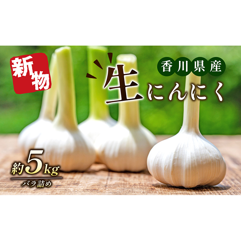 生にんにく(新物)5kg 野菜 根菜 香川県東かがわ市23500野菜・きのこ大根・ニンジン・根菜類