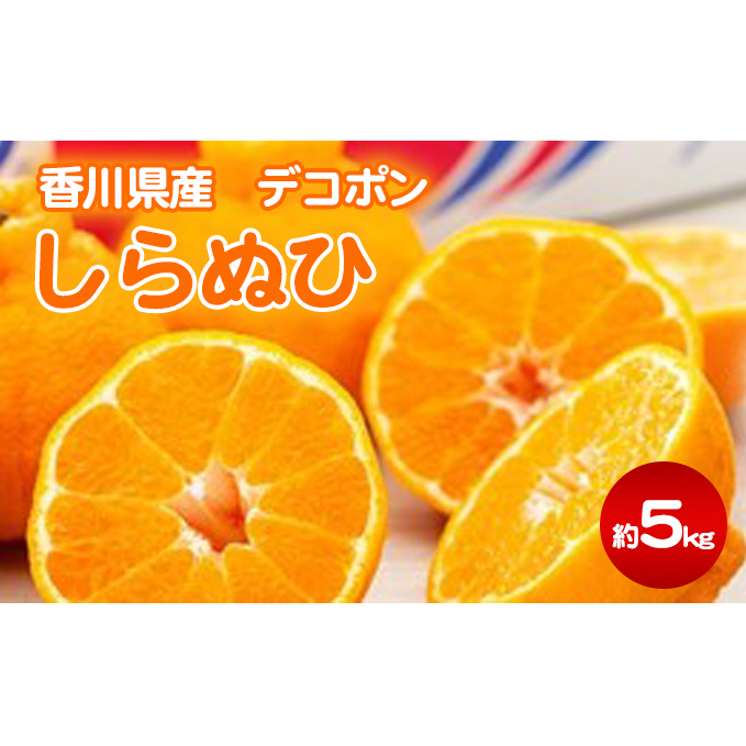 しらぬひ 約5kg デコポン 果物類 みかん 柑橘類 フルーツ 香川県東かがわ市17000果物・フルーツみかん・柑橘類