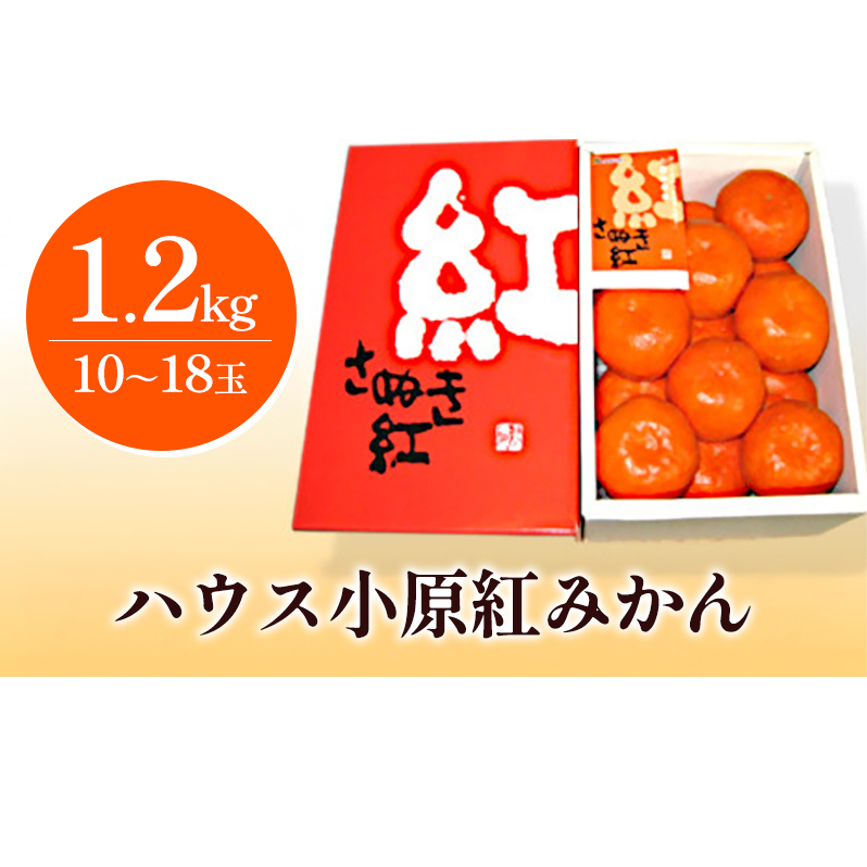ハウス小原紅早生みかん(さぬき紅)約1.2kg 柑橘類 果物類 フルーツ 香川県東かがわ市12500果物・フルーツみかん・柑橘類