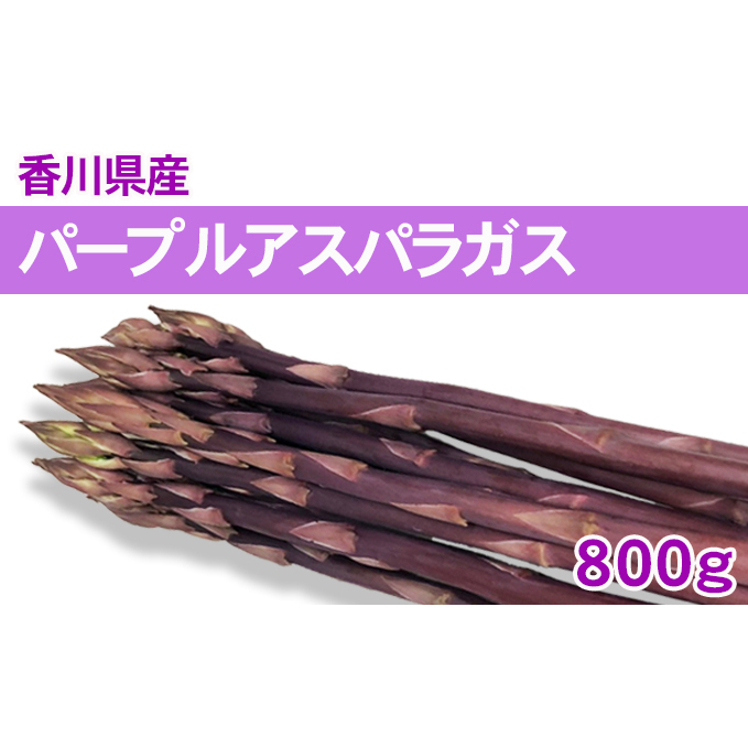 パープルアスパラガス 800g 野菜 野菜セット 香川県東かがわ市8500野菜・きのこその他 野菜