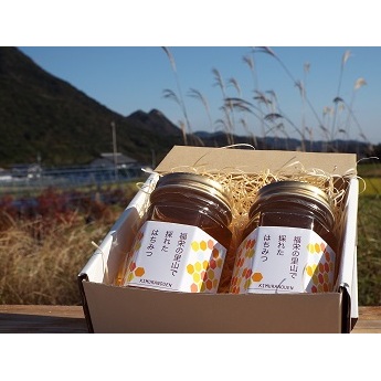 木村農園のはちみつ(170g×2本) 加工食品 蜂蜜 香川県東かがわ市10500鍋セット・総菜・加工食品その他 鍋セット・総菜・加工食品