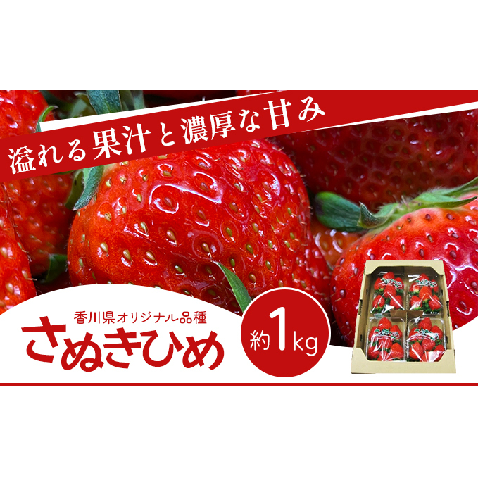 쌧 IWiiI yʂЂ߁z1kgi t[c ʕ  ʂP   x Â _ Yi Gi 嗱 1L fU[g Xgx[ Y ① j 쌧