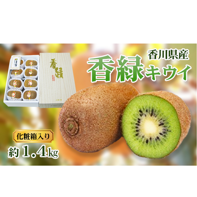 香緑 (こうりょく) キウイ1.4kg 化粧箱 キウイフルーツ フルーツ 果物 くだもの 果実 旬の果物 旬のフルーツ 香川 香川県 東かがわ市香川県東かがわ市16000果物・フルーツ