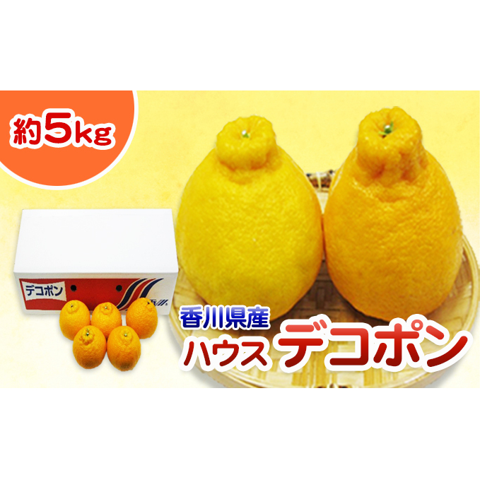 nEXfR|  5kg 쌧Y fR| łۂ t[c ʕ  {̃t[c {̉ʕ k k nEX ݂ nEX݂  쌧 s쌧s20000