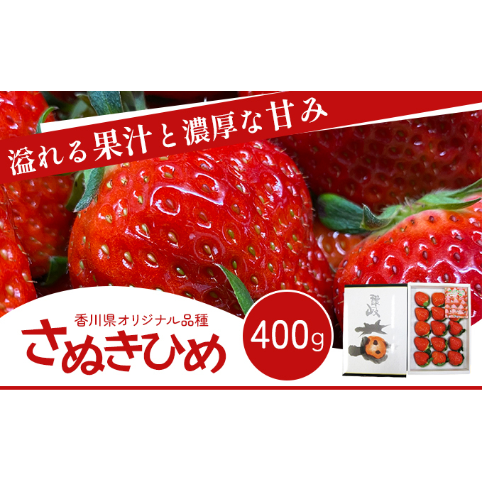 いちご 香川県オリジナル品種 さぬきひめ 400g 香川県産 化粧箱 年内受付 苺 イチゴ フルーツ 果物 くだもの 旬のフルーツ 旬の果物 大粒 採れたて 冷蔵 香川 香川県 東かがわ市香川県東かが