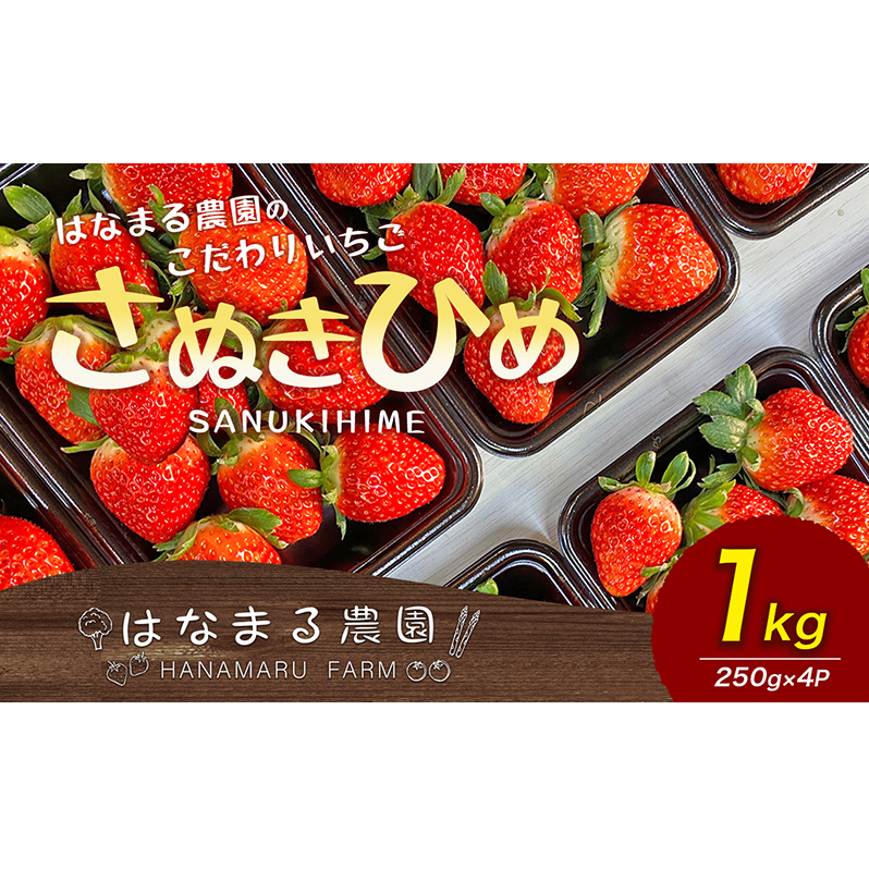  ͂Ȃ܂_ 肢 ʂЂ 1kg 쌧Y  C`S t[c ʕ  {̃t[c {̉ʕ  쌧 s쌧s14000ʕEt[c