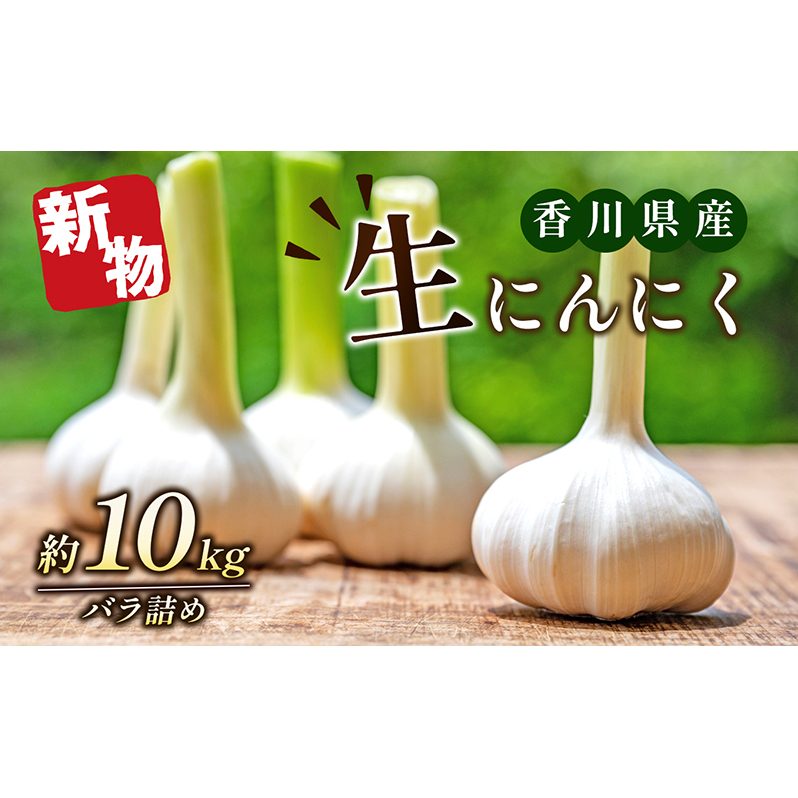 生にんにく(新物)約10kg 野菜 野菜セット ニンニク 香川県東かがわ市45000野菜・きのこ