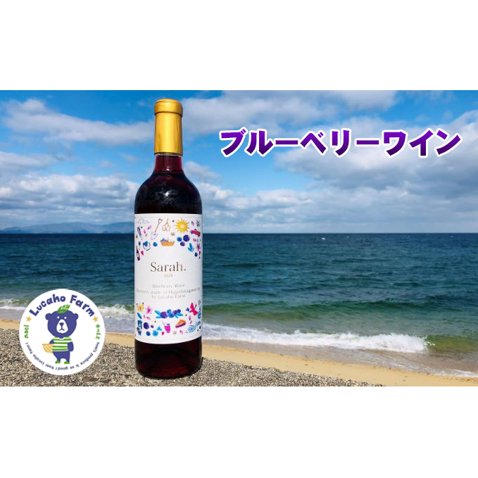 海のキレイな街で育ったブルーベリーワイン お酒 香川県東かがわ市18000酒・アルコールワイン