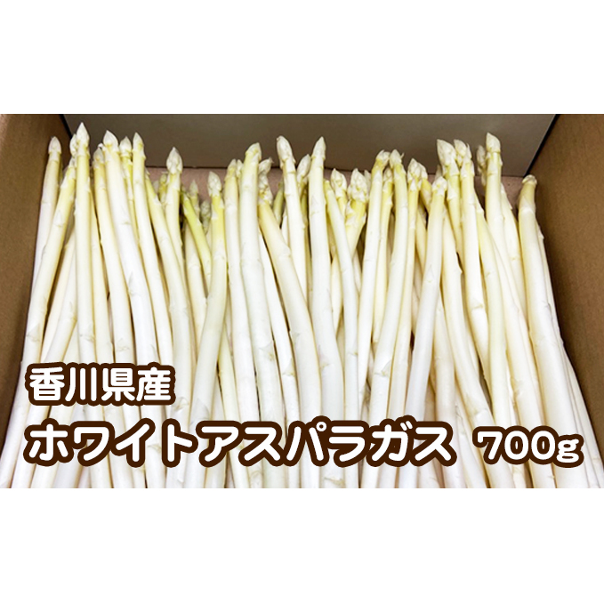 ƒpzCgAXpKX@700g  ؃Zbg 쌧s7500؁Ê