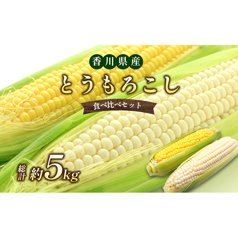 とうもろこし食べ比べセット 約5kg 野菜 野菜セット とうもろこし イエローコーン ホワイトコーン 詰合せ 香川県東かがわ市11500野菜・きのこ