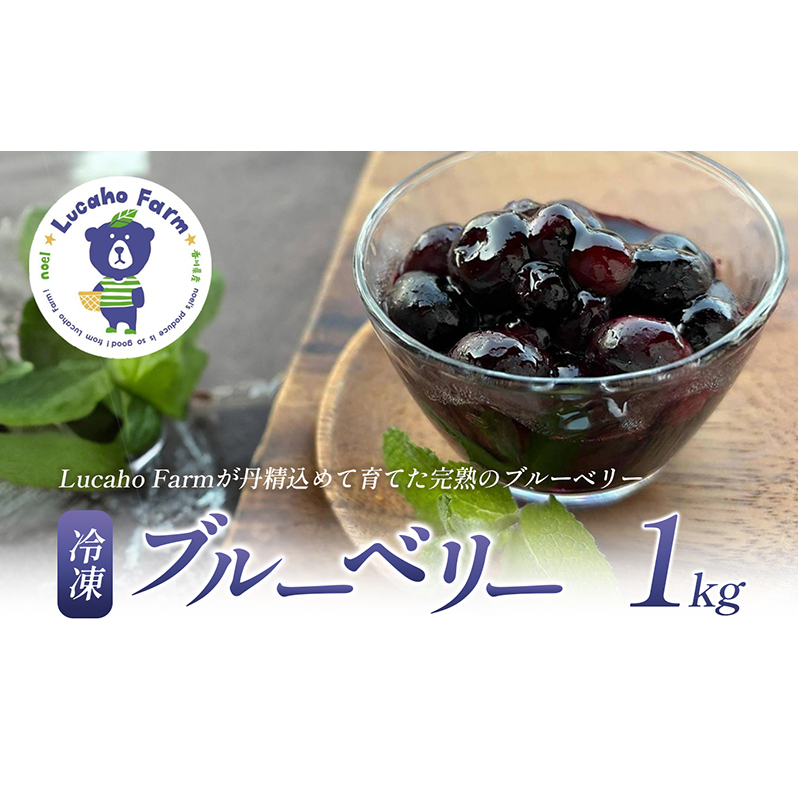 ブルーベリー Lucaho Farm 1kg 香川県産 冷凍ブルーベリー1kg 冷凍ブルーベリー フルーツ 果物 くだもの 旬のフルーツ 旬の果物 冷凍 香川 香川県 東かがわ市香川県東かがわ市9000果物・フルーツ