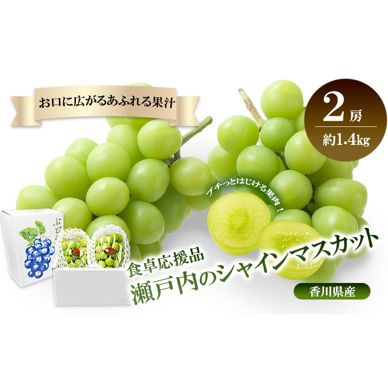 ˓̃VC}XJbg@2[i1.4kgj쌧s17500ʕEt[c}XJbgEԂǂ