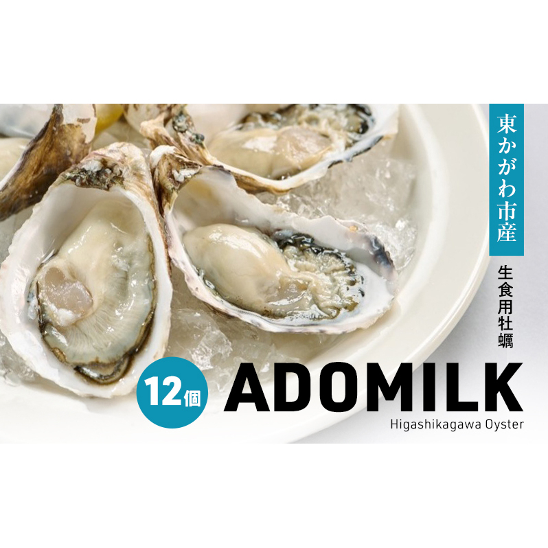 香川県東かがわ市産生食用牡蠣・ADOMILK 12個セット アドミルク あどみるく香川県東かがわ市17000魚介・海産物鮮魚