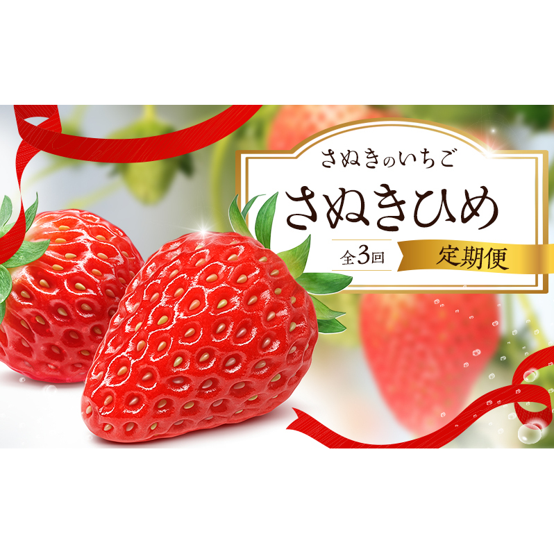 さぬきのいちご「さぬきひめ」単体の定期便(3回)香川県東かがわ市32000果物・フルーツ