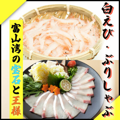 鮮度そのまま!『ぶり、白えび』生冷凍セット富山県氷見市34000魚介・海産物その他 魚介・海産物