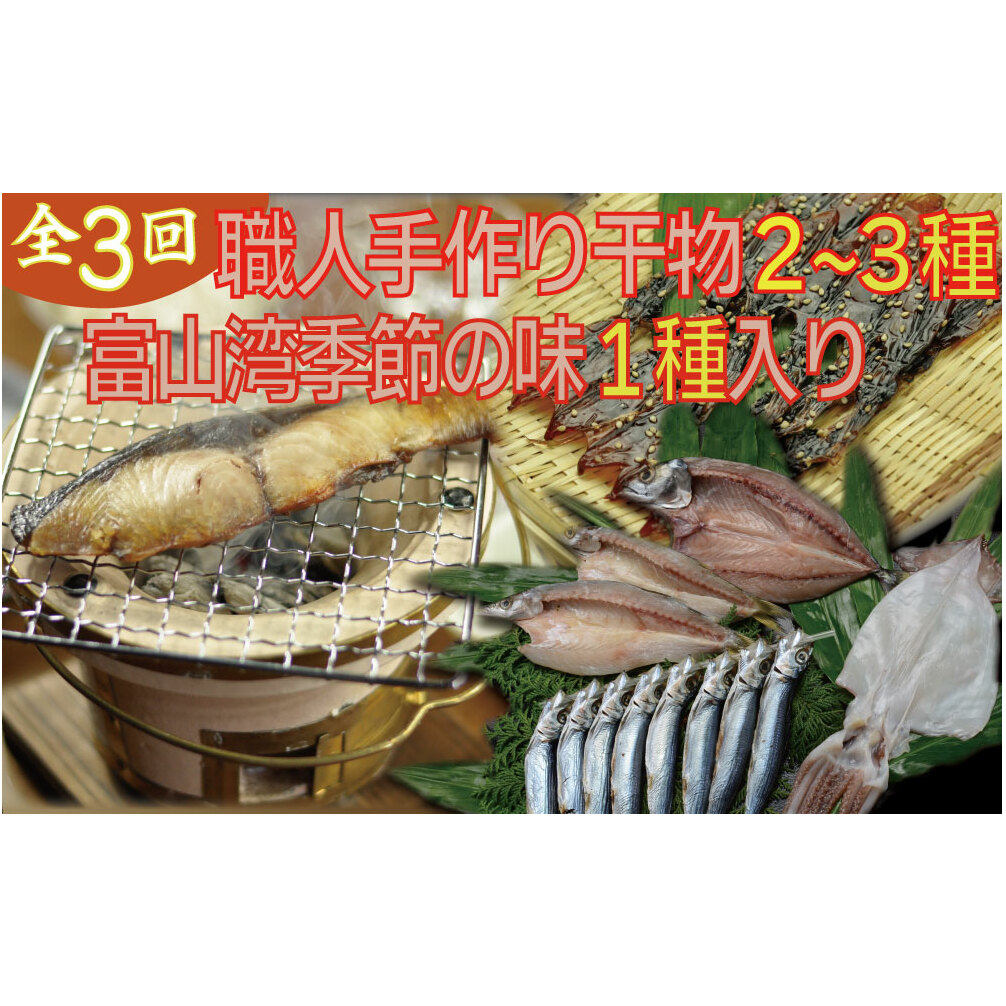 【年間3回定期便】職人手作り地魚一夜干真空パックと富山湾季節の味(氷見ぶり、ホタルイカ、みりん干)富山県氷見市46000魚介・海産物干物