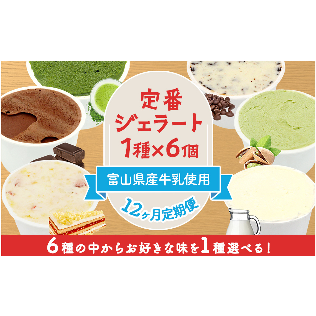 【12ヶ月定期便】【Himi Gelato】定番ジェラート6個(お好きな味1種類)富山県氷見市129000卵・乳製品その他卵・乳製品