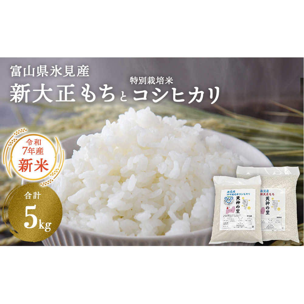 富山県氷見産 新大正もち(3kg)と特別栽培米コシヒカリ(2kg)のセット 天神の里<2025年11月以降順次発送>富山県氷見市18000米・パン白米
