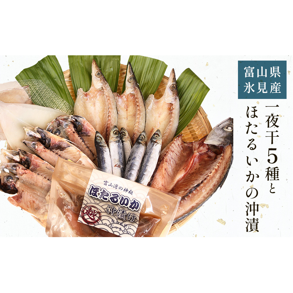 氷見 堀与 一夜干5種とほたるいかの沖漬 富山県 氷見市 干物 詰め合わせ 食べ比べ セット ホタルイカ富山県氷見市17000魚介・海産物干物