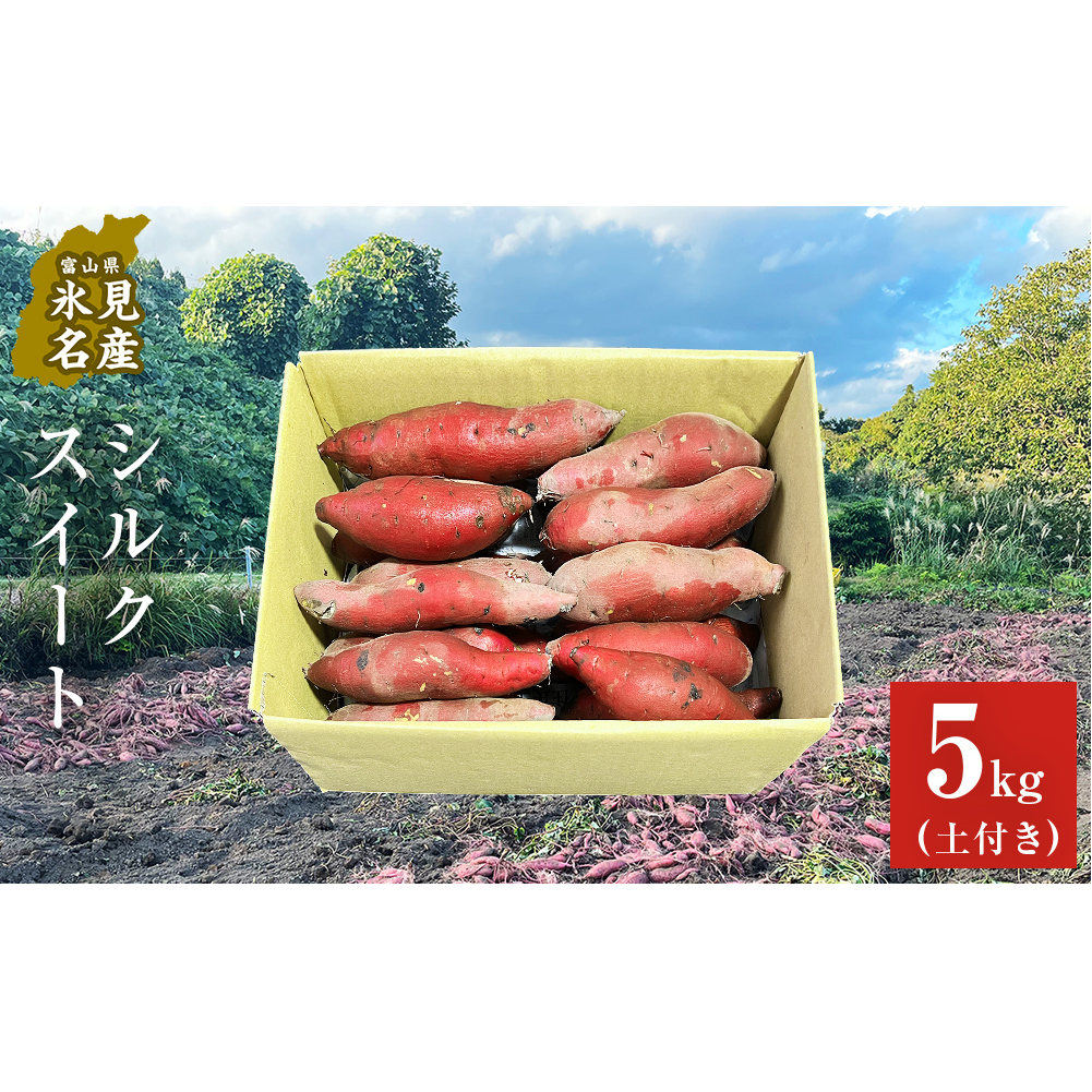 【先行予約】<シルクスイート>富山県産 さつまいも 5kg 【2026年12月以降順次発送】 富山県 氷見市 サツマイモ 自然豊か シルクスイート なめらか富山県氷見市12000野菜・きのこじゃがいも