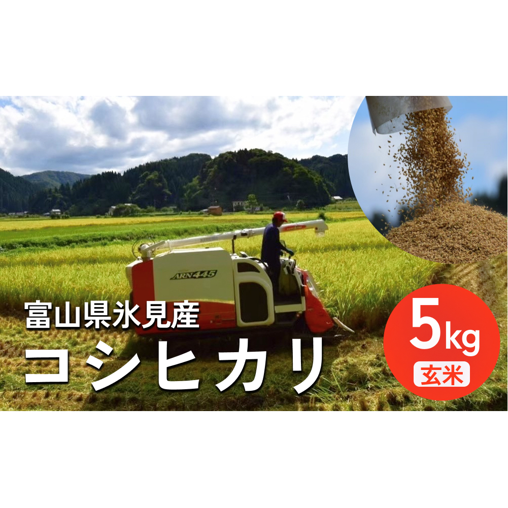 <先行予約> 令和7年産 富山県氷見産 コシヒカリ 玄米 5kg <2025年10月中旬以降順次発送> 富山県 氷見市 米 こしひかり富山県氷見市21000米・パン玄米・雑穀米・もち米・餅