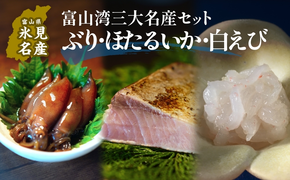 富山湾三大名産ぶり・ほたるいか・白えびのセット 富山県 氷見市 白エビぶり ほたるいか 冷凍 おかず富山県氷見市18000魚介・海産物イカ・タコ・ウニ