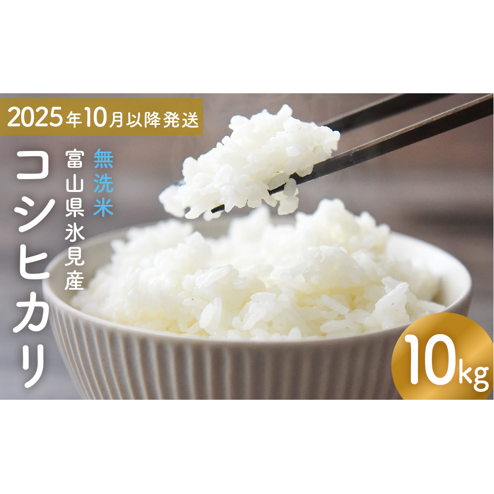コシヒカリ 無洗米 10kg (5kg×2) 富山県氷見産 <2025年10月以降発送> 富山県 氷見市 米 コシヒカリ富山県氷見市31000米・パン無洗米