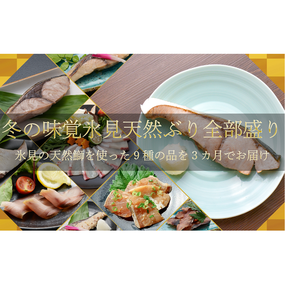 【3回定期便】冬の味覚氷見天然ぶり全部盛り <2025年12月以降順次発送>  寒ぶり 限定 鰤 富山県 氷見市 富山県氷見市99000魚介・海産物その他 魚介・海産物