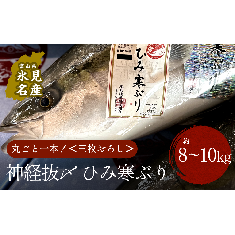 【先行予約】ひみ寒ぶり 朝どれ1本 三枚おろし(神経抜〆:8〜10kg)【半七】※配送地域限定富山県氷見市300000魚介・海産物鮮魚