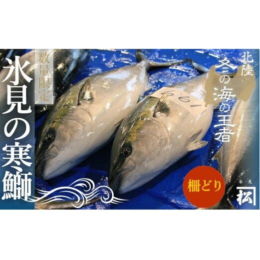 【先行予約】天然寒鰤 『ひみ寒ぶり』一本丸ごと便(柵どり処理)※配送エリア限定※富山県氷見市300000魚介・海産物鮮魚