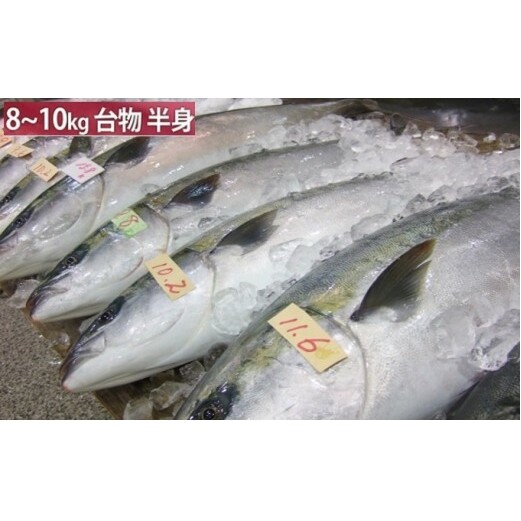 【先行予約】 ひみ寒ぶり 半身プラン ※配送エリア限定富山県氷見市150000魚介・海産物鮮魚