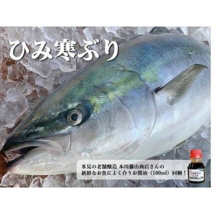 【先行予約】【丸々1本】ひみ寒ぶりまるごと1本【角安商店】〈配送地域限定〉富山県氷見市300000魚介・海産物鮮魚