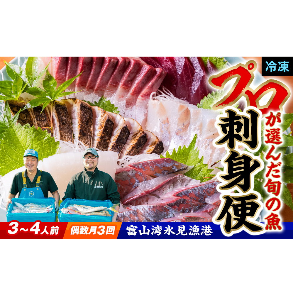 【偶数月 全3回 定期便】氷見漁港で競り落としたお刺身詰め合わせセット 〈冷凍〉 |   刺身セット 鮮魚 詰め合わせ 富山湾 海の幸 魚介類 お魚 刺し身 さしみ 氷見漁港 柵 冷凍 瞬間凍結富