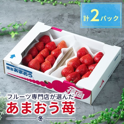 【11月下旬より順次発送】フルーツ専門店が選んだ「あまおう苺」冬250g×2パック(大野城市)【配送不可地域:離島】【1083235】福岡県大野城市11000果物・フルーツいちご