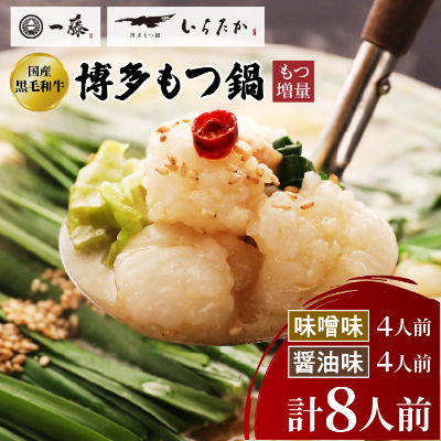 【もつ増量!!もつ鍋一藤】国産黒毛和牛もつ鍋8人前 味噌・醤油味各2回分【配送不可地域:離島】【1298434】福岡県大野城市30000鍋セット・総菜・加工食品鍋セット
