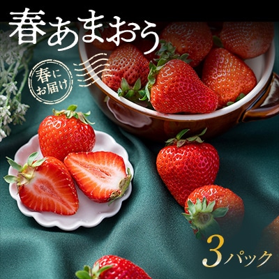 【2026年発送先行受付】春にお届け!福岡産はるあまおう3パック【配送不可地域:離島】【1333571】福岡県大野城市11000果物・フルーツいちご