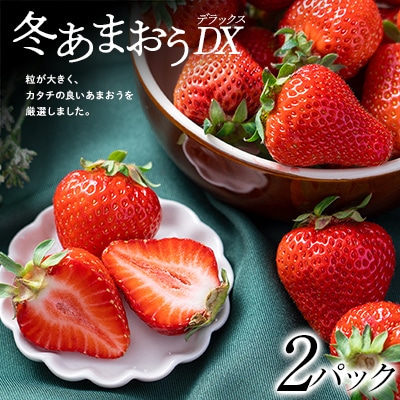 【11月下旬より順次発送】フルーツソムリエが選んだ【冬】あまおうDX(デラックス)2パック【配送不可地域:離島】【1353643】福岡県大野城市12000果物・フルーツいちご