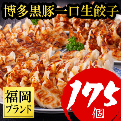 【令和6年1月中に終了】【訳あり175個】【福岡ブランド】博多黒豚一口生餃子ラー麦皮(大野城市)【配送不可地域:離島】【1382081】福岡県大野城市12000鍋セット・総菜・加工食品総菜
