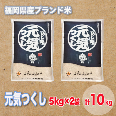福岡県産ブランド米元気つくし(合計10kg)【1411439】福岡県大野城市36000米・パン白米