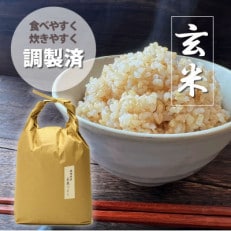 ゴールドプレミアムライスGPR『天栄米』 10kg 令和6年度新米 プレミアムゴールドライスGPR『天栄米』10kg 令和6年度新米