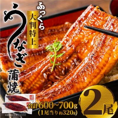 大野城市限定!ふっくら大判特上うなぎ蒲焼 計約600〜700g(約320g×2尾)【配送不可地域:離島】【1646340】福岡県大野城市14000魚介・海産物うなぎ
